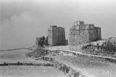 ���� ������ ��� ��� ����