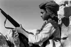 ���� ������ ��� ��� ����