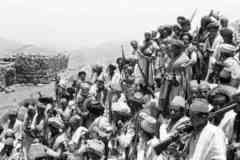 ���� ������ ��� ��� ����