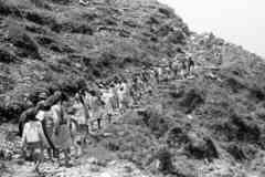 ���� ������ ��� ��� ����