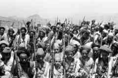 ���� ������ ��� ��� ����