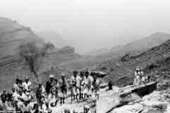 ���� ������ ��� ��� ����