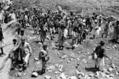 ���� ������ ��� ��� ����