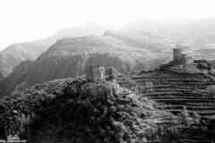 ���� ������ ��� ��� ����