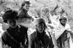 ���� ������ ��� ��� ����