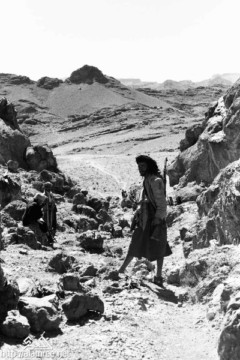 ���� ������ ��� ��� ����