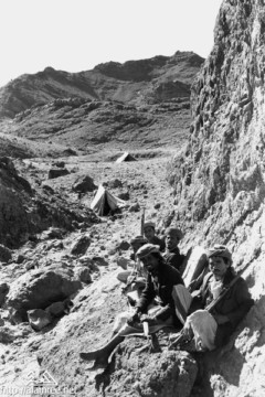 ���� ������ ��� ��� ����