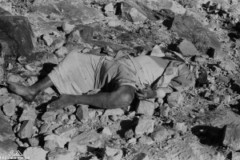 ���� ������ ��� ��� ����