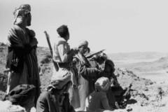 ���� ������ ��� ��� ����