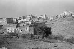 ���� ������ ��� ��� ����