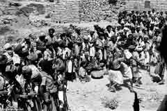 ���� ������ ��� ��� ����