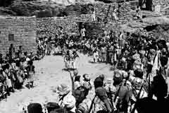 ���� ������ ��� ��� ����