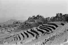 ���� ������ ��� ��� ����