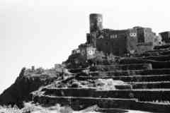 ���� ������ ��� ��� ����