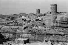 ���� ������ ��� ��� ����