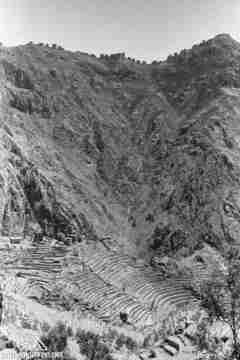 ���� ������ ��� ��� ����