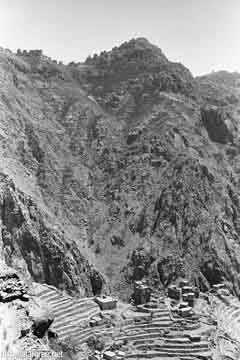 ���� ������ ��� ��� ����