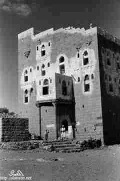 ���� ������ ��� ��� ����