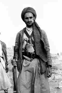 ���� ������ ��� ��� ����