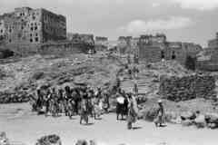 ���� ������ ��� ��� ����