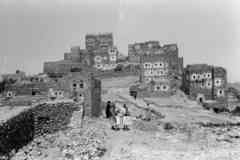 ���� ������ ��� ��� ����