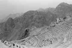 ���� ������ ��� ��� ����