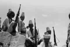 ���� ������ ��� ��� ����