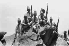 ���� ������ ��� ��� ����