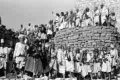 ���� ������ ��� ��� ����