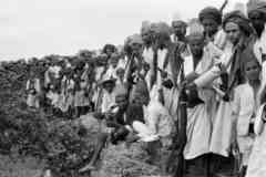 ���� ������ ��� ��� ����