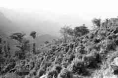 ���� ������ ��� ��� ����