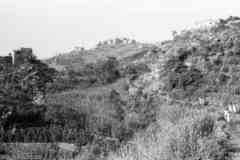 ���� ������ ��� ��� ����