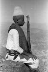 ���� ������ ��� ��� ����