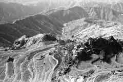 ���� ������ ��� ��� ����