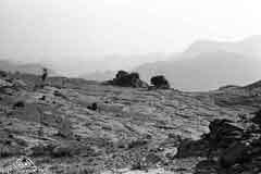 ���� ������ ��� ��� ����