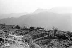 ���� ������ ��� ��� ����