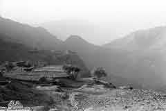 ���� ������ ��� ��� ����