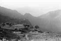 ���� ������ ��� ��� ����