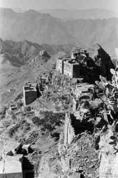 ���� ������ ��� ��� ����