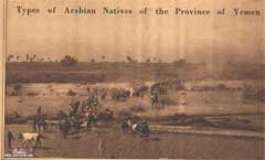 ���� ������ ��� ��� ����