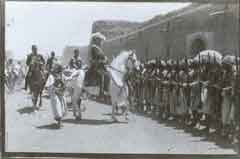 ���� ������ ��� ��� ����