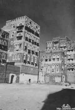 ���� ������ ��� ��� ����