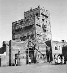 ���� ������ ��� ��� ����