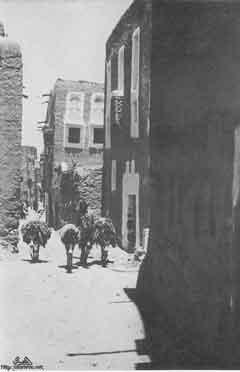 ���� ������ ��� ��� ����