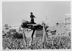 ���� ������ ��� ��� ����