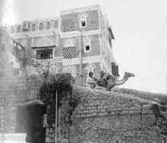 ���� ������ ��� ��� ����