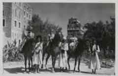 ���� ������ ��� ��� ����