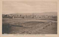 ���� ������ ��� ��� ����