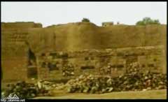 ���� ������ ��� ��� ����