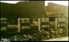 ���� ������ ��� ��� ����